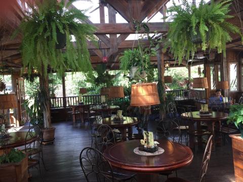 Back deck with plants