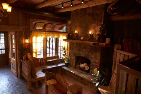 Fireplace inside Hamburg Yellow Deli